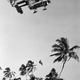 A U.S. Air Force Kaman HH-43B Huskie helicopter is used to rescue a downed airman from the jungles in Southeast Asia, 19 December 1968.